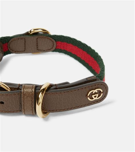 gucci collar pressa|authentic Gucci collar.